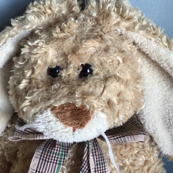 Vintage 2005 TY Classics beige silk bunny beanbag curly plush rabbit Easter kids - Picture 7 of 12